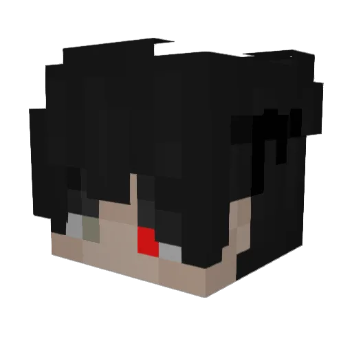VibinLucas08 Minecraft avatar head, 3D render