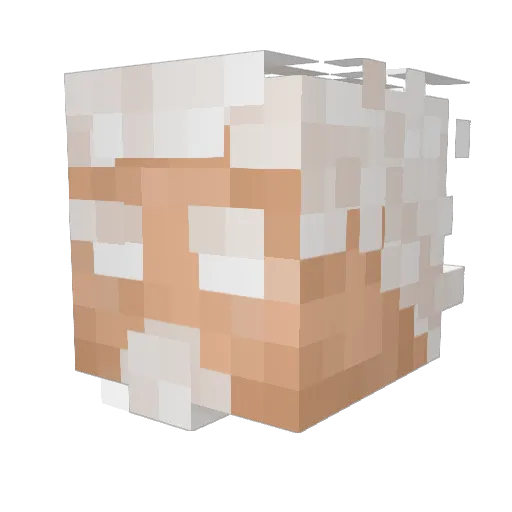 Vic935 Minecraft avatar head, 3D render