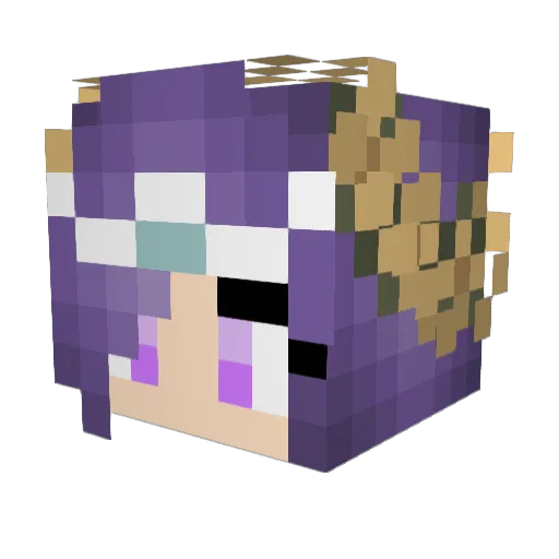 Vicake Minecraft avatar head, 3D render