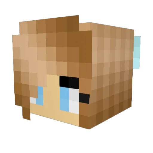 Vicb1234 Minecraft avatar head, 3D render