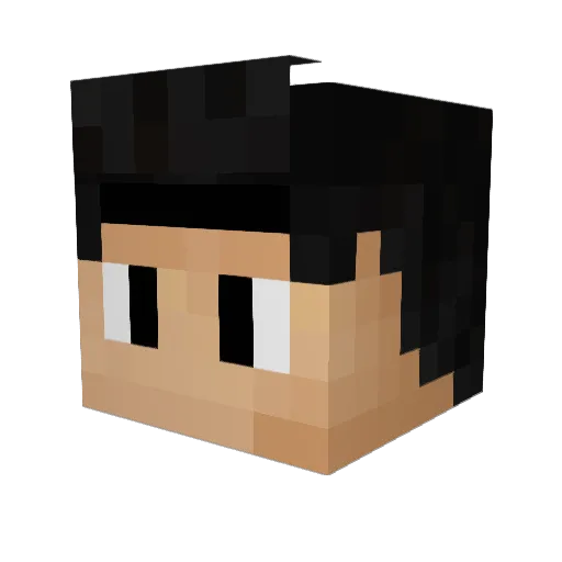 Vicbw_ Minecraft avatar head, 3D render