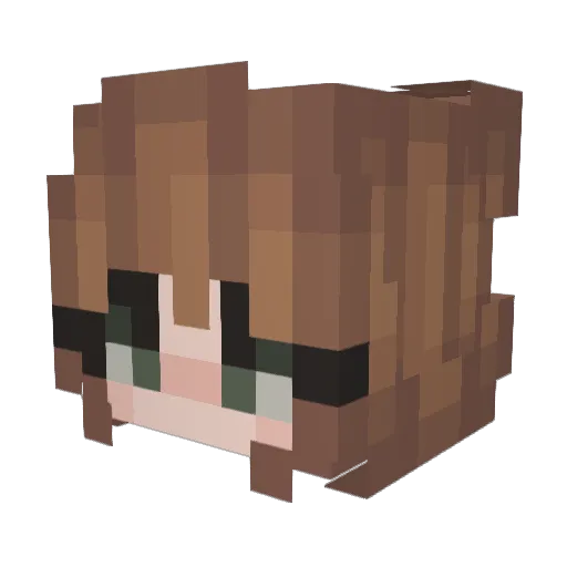 Viccer01 Minecraft avatar head, 3D render