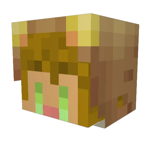Vicceyr Minecraft avatar head, 3D render