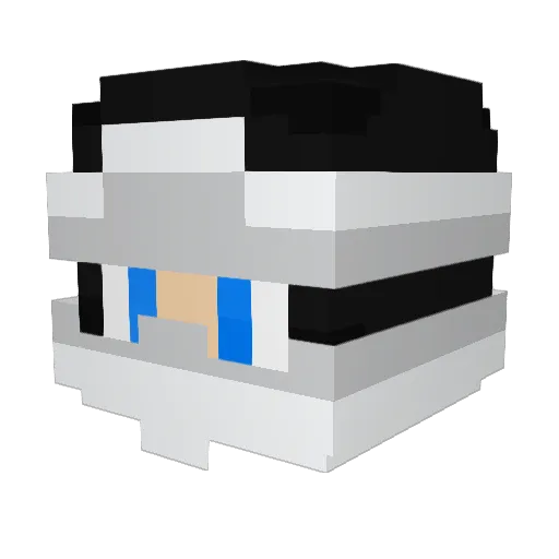Viccofly Minecraft avatar head, 3D render