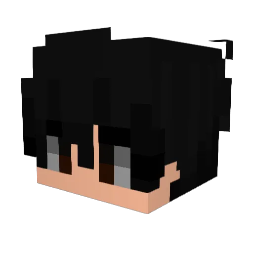 Vicerick Minecraft avatar head, 3D render