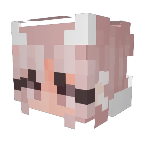 ViceroyXi Minecraft avatar head, 3D render