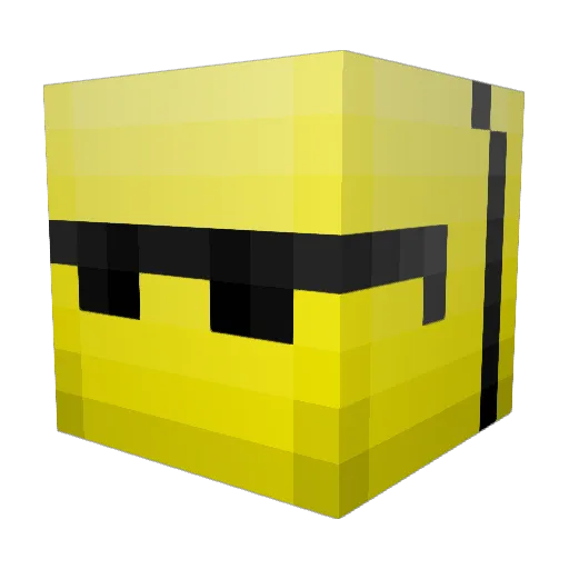Vichy3390 Minecraft avatar head, 3D render