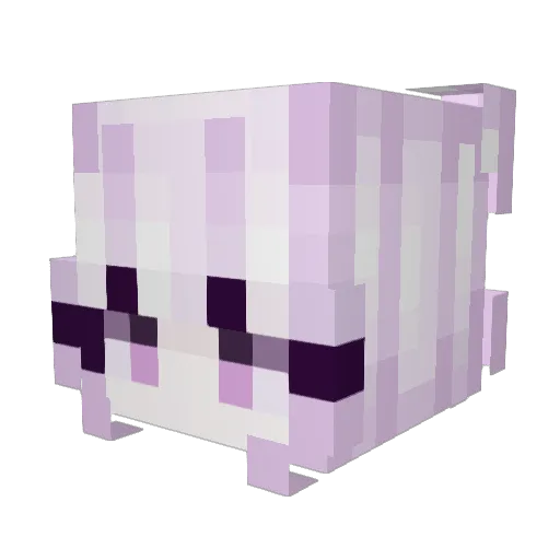 ViciousDisillusn Minecraft avatar head, 3D render