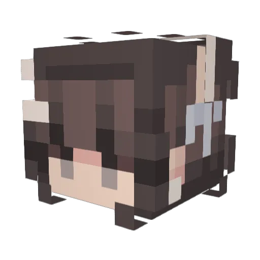 Vickster0 Minecraft avatar head, 3D render