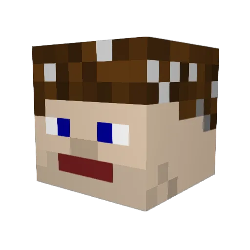Viclas Minecraft avatar head, 3D render