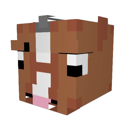 Vicodinfr Minecraft avatar head, 3D render