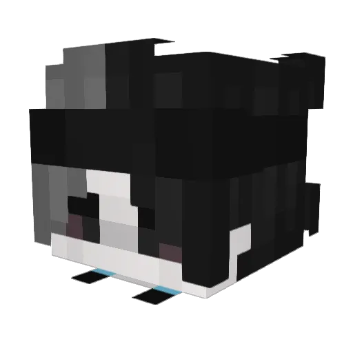Vicot22 Minecraft avatar head, 3D render