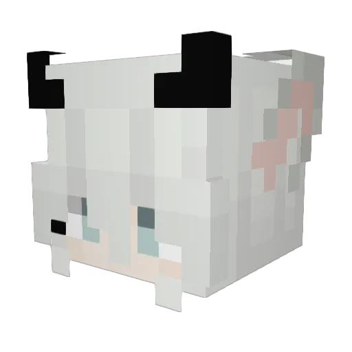 Victoria4761 Minecraft avatar head, 3D render