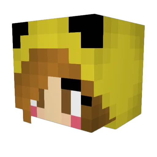 Victorious361 Minecraft avatar head, 3D render