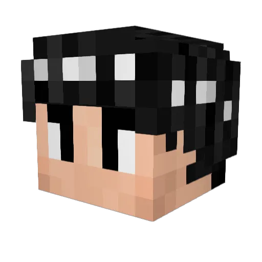 Vidal63FR Minecraft avatar head, 3D render