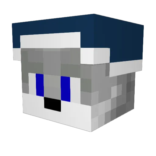 Vidde2005 Minecraft avatar head, 3D render