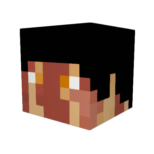 VideoGameBacon Minecraft avatar head, 3D render