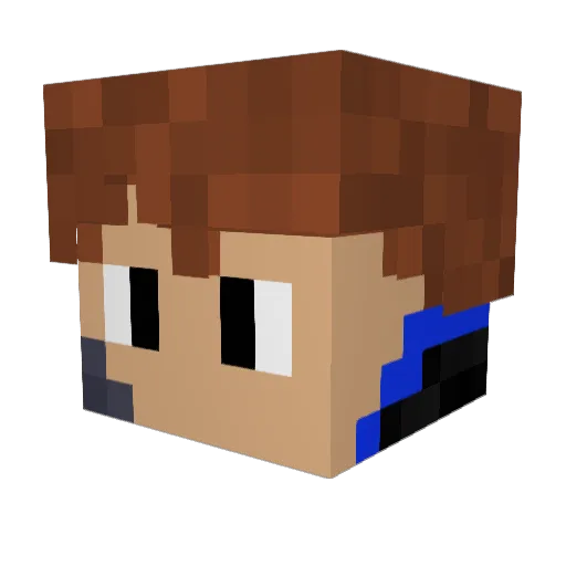 Videogamer89718 Minecraft avatar head, 3D render
