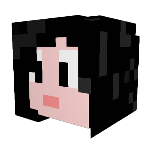 Vidicus Minecraft avatar head, 3D render