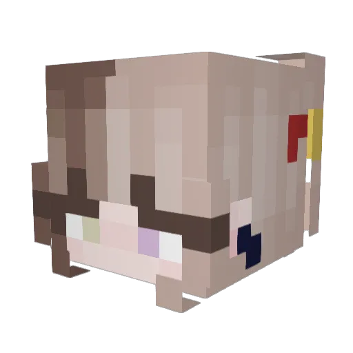 Vidriyo Minecraft avatar head, 3D render