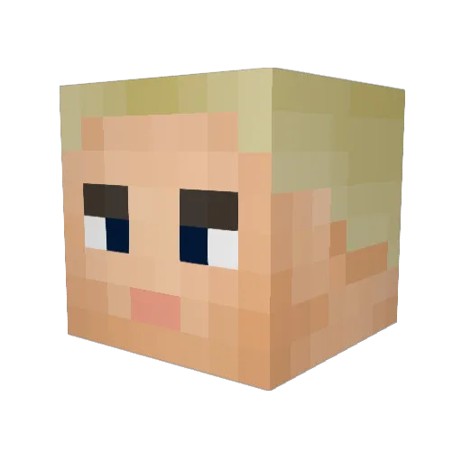 Viduroster Minecraft avatar head, 3D render