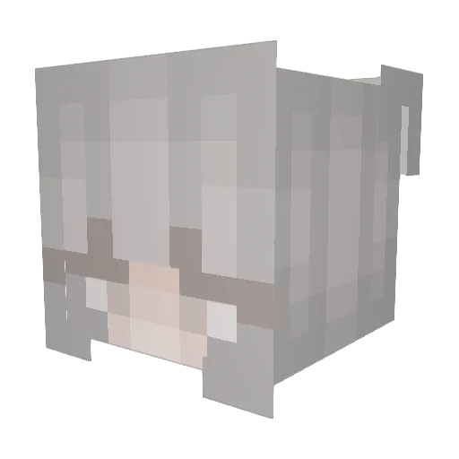Vie_V Minecraft avatar head, 3D render