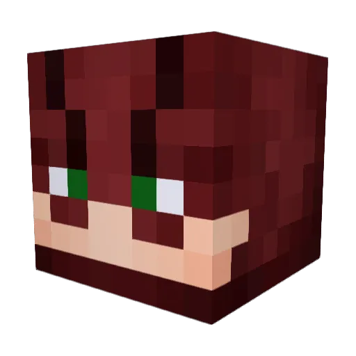 Viena1 Minecraft avatar head, 3D render