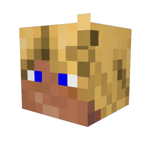 Vierlaan Minecraft avatar head, 3D render