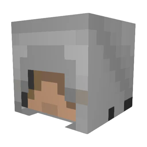 ViewedWool23551 Minecraft avatar head, 3D render