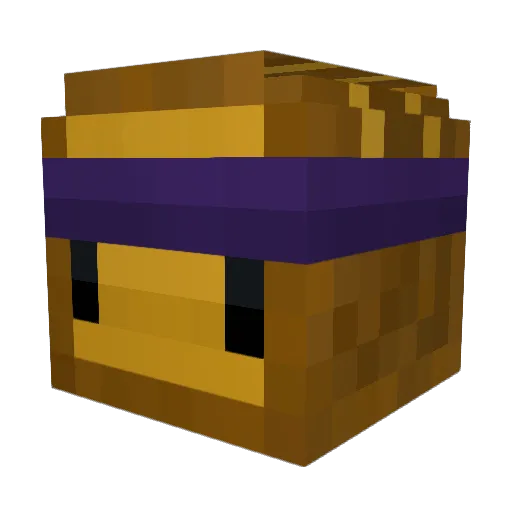 ViewierSpy174 Minecraft avatar head, 3D render