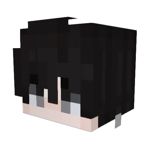 Viexe5 Minecraft avatar head, 3D render