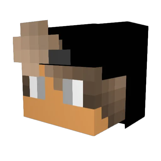 Viga2005 Minecraft avatar head, 3D render