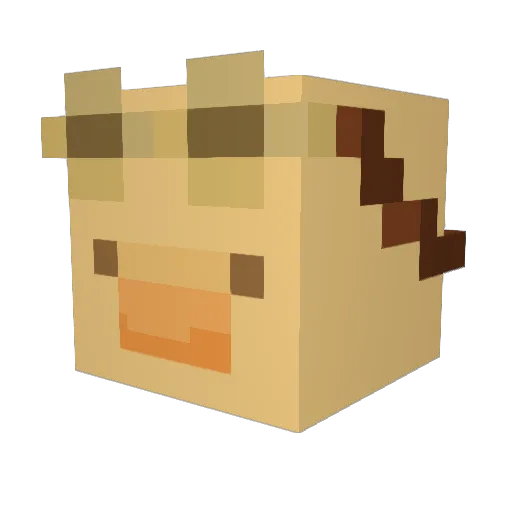 ViggoBoViggo Minecraft avatar head, 3D render