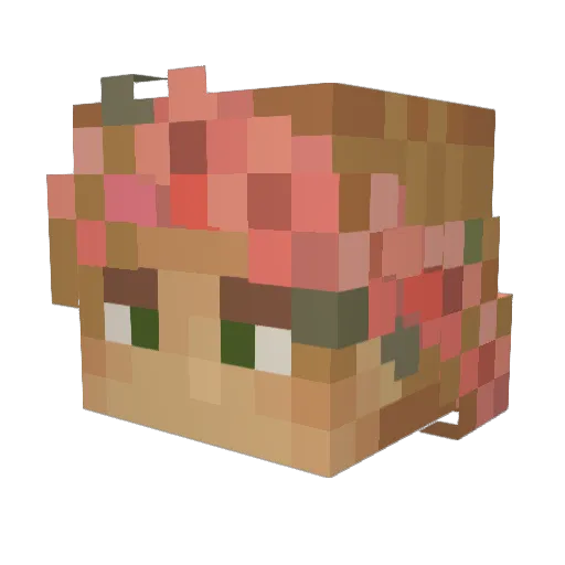 Viggotor Minecraft avatar head, 3D render