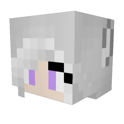 Vigil187 Minecraft avatar head, 3D render