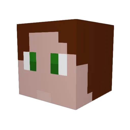 Vigil_Virus Minecraft avatar head, 3D render