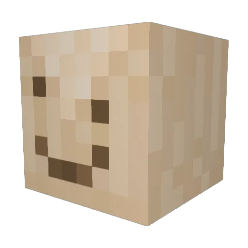 Vigilant3_ Minecraft avatar head, 3D render