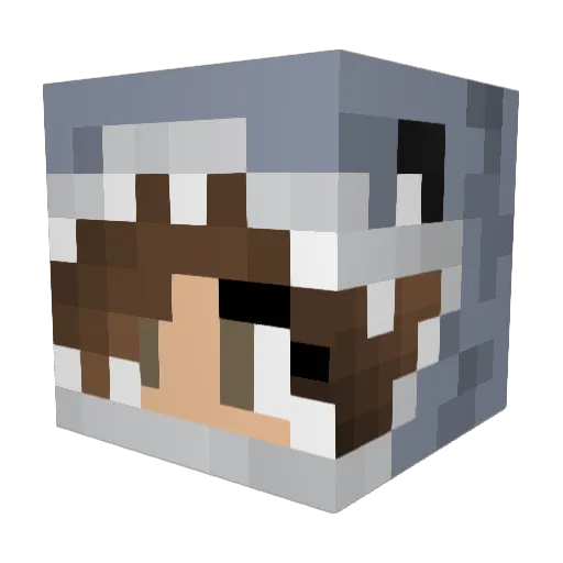 Vigilante Minecraft avatar head, 3D render