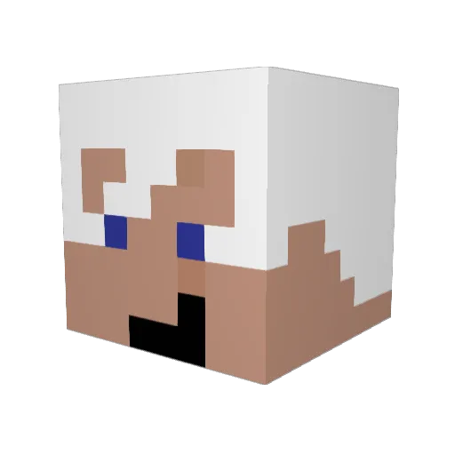 Vigilantis Minecraft avatar head, 3D render