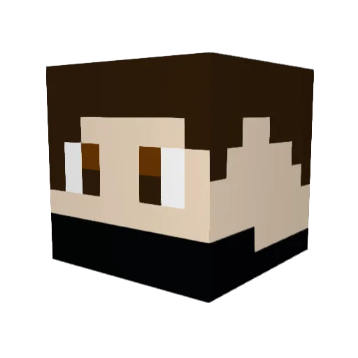 Vigiler1 Minecraft avatar head, 3D render