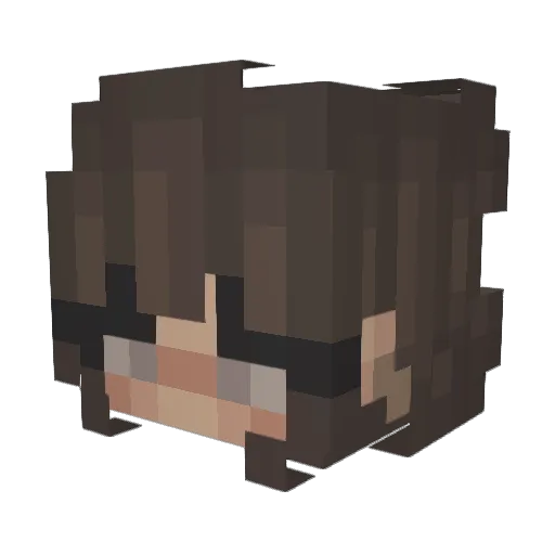 Vigils Minecraft avatar head, 3D render
