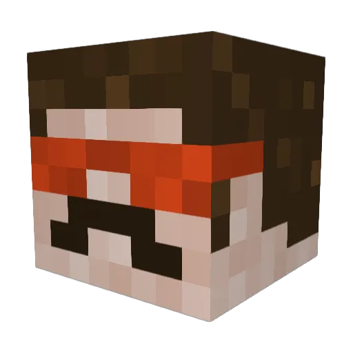 Vigo21_ Minecraft avatar head, 3D render