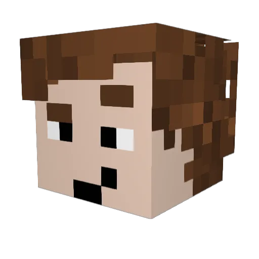 Vihovi Minecraft avatar head, 3D render
