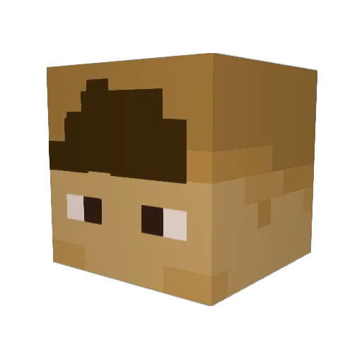 ViiP7zz Minecraft avatar head, 3D render