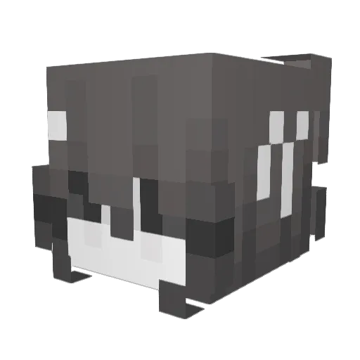 Viicci Minecraft avatar head, 3D render