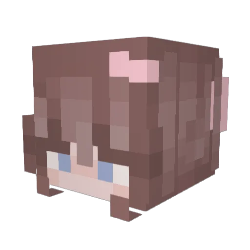 Viinx_ Minecraft avatar head, 3D render