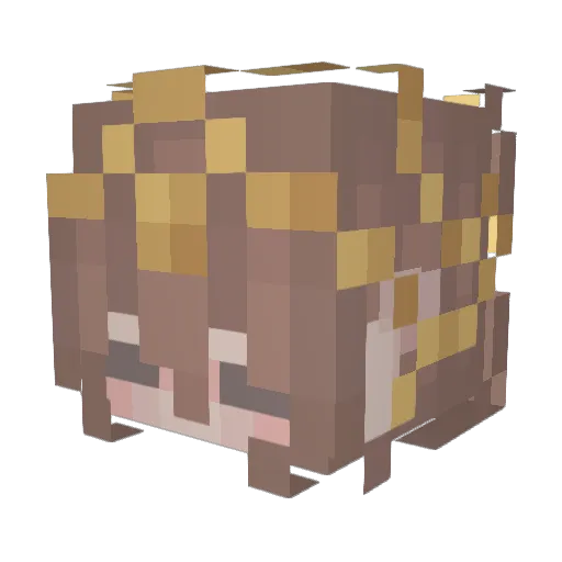 Viirus404 Minecraft avatar head, 3D render