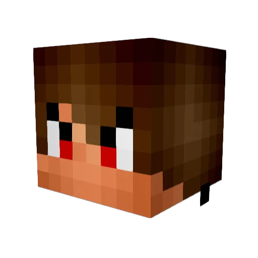 ViixLL Minecraft avatar head, 3D render