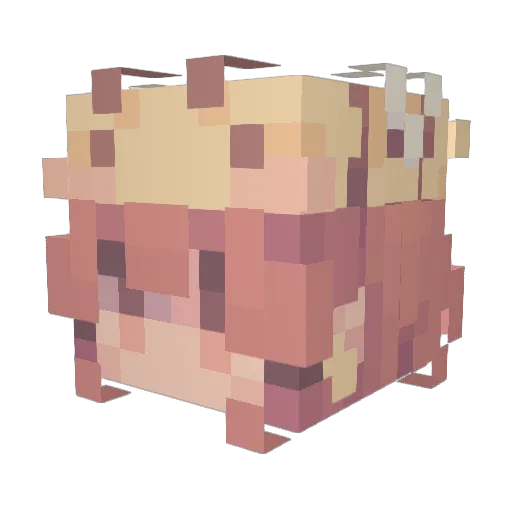 Vika1408 Minecraft avatar head, 3D render