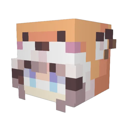 VikerNotFound Minecraft avatar head, 3D render